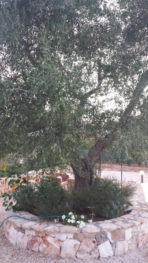 سيغلي ميسابيكا Caserurali المظهر الخارجي الصورة