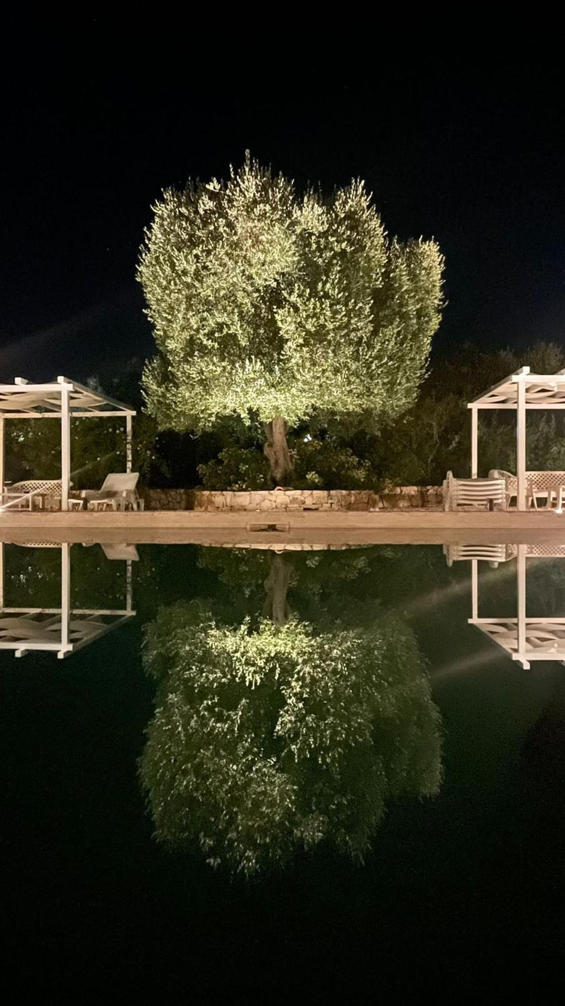 سيغلي ميسابيكا Caserurali المظهر الخارجي الصورة