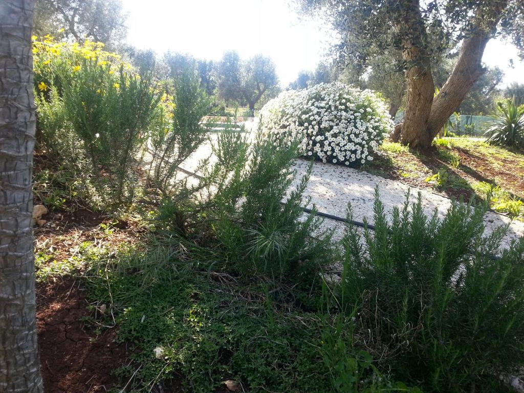 سيغلي ميسابيكا Caserurali المظهر الخارجي الصورة